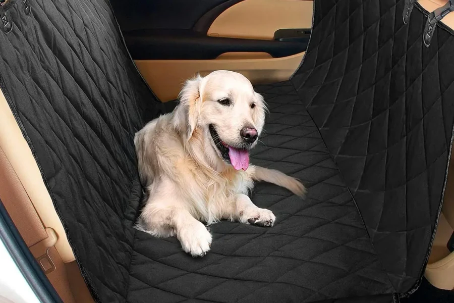 Best Washable Back Seat Covers for Dogs