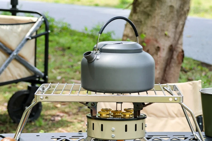 Folding Campfire Cooking Rack